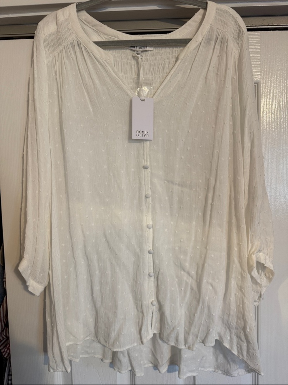 Rose + Olive Soft Swiss Dot Button-Front Women's Top in White 2x